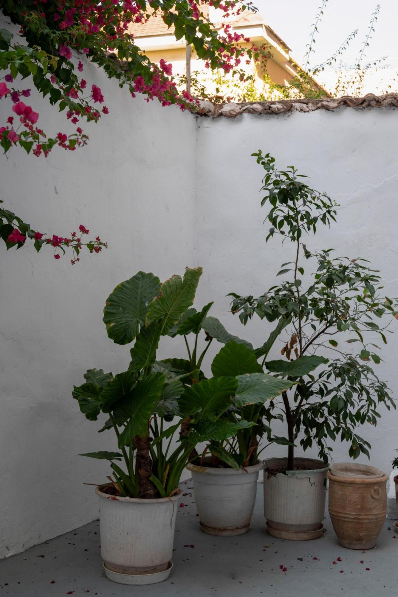 Thissio Getaway 2Ba Next To Athens Ancient Market Ngoại thất bức ảnh