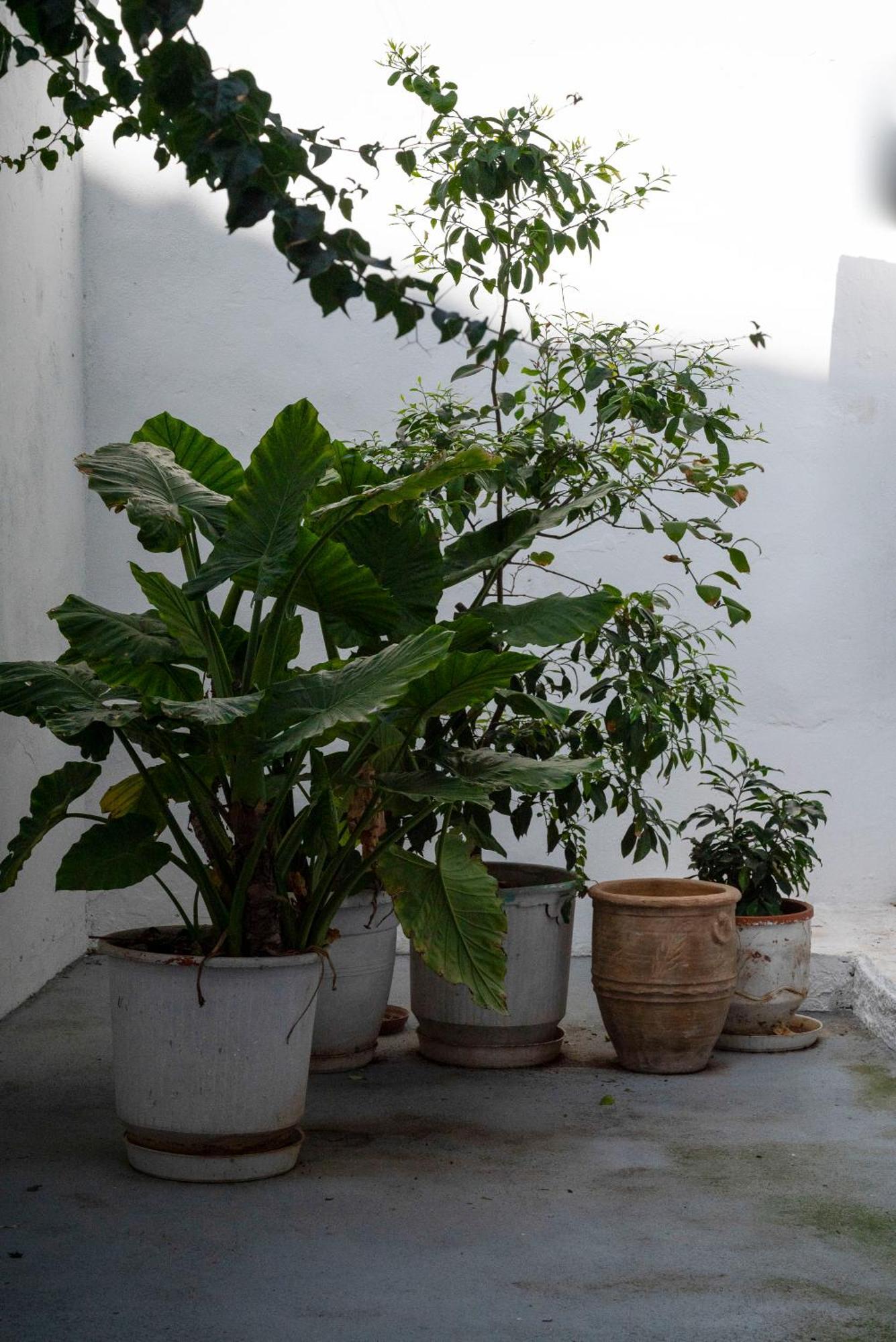 Thissio Getaway 2Ba Next To Athens Ancient Market Ngoại thất bức ảnh